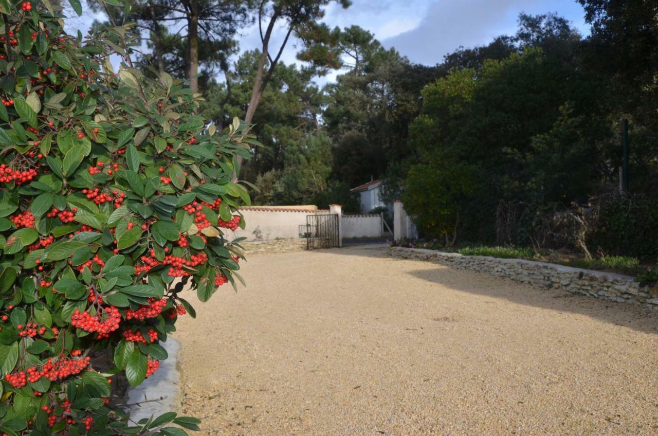 Maisonnette Maumusson Villa Saint-Trojan-les-Bains Exterior photo